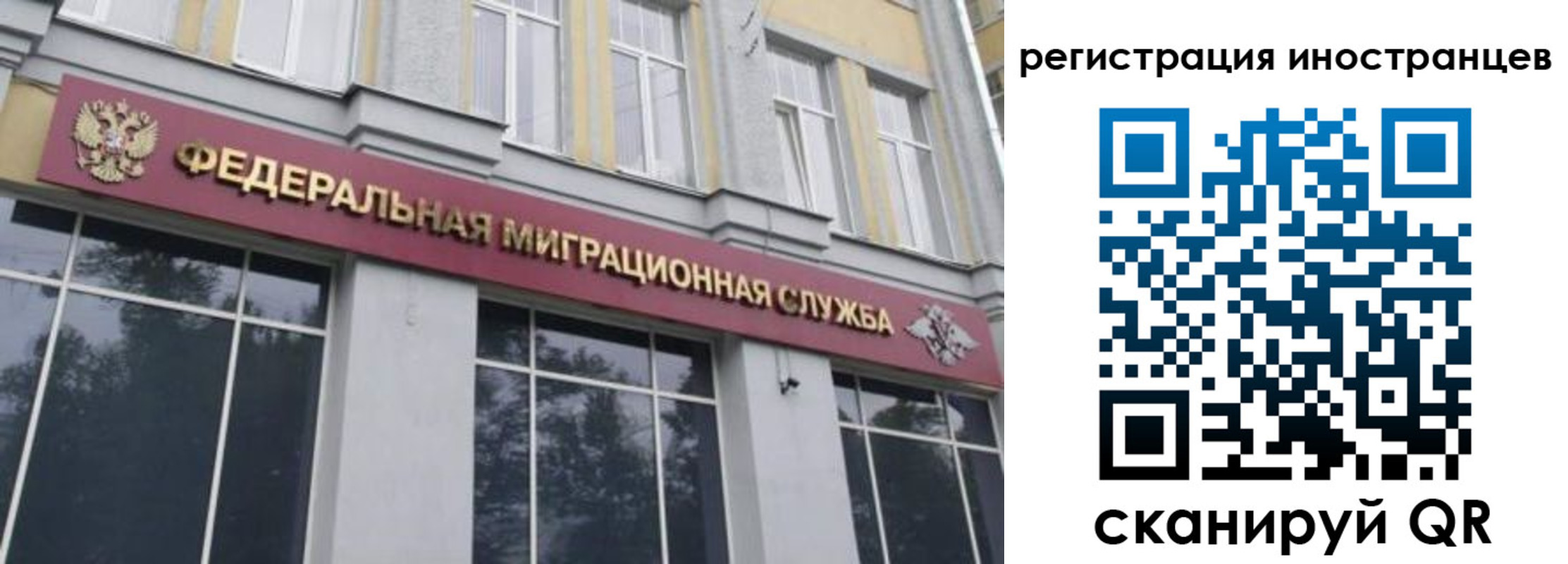 пропишу в квартире в Бабаево